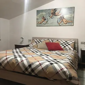 Bunela Costa Volpino